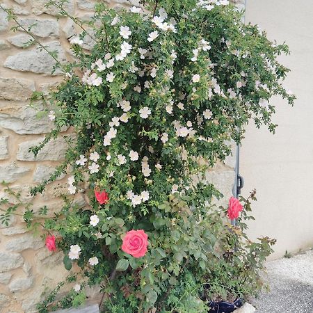 Gite L'Edenwine Doulezon Exteriér fotografie